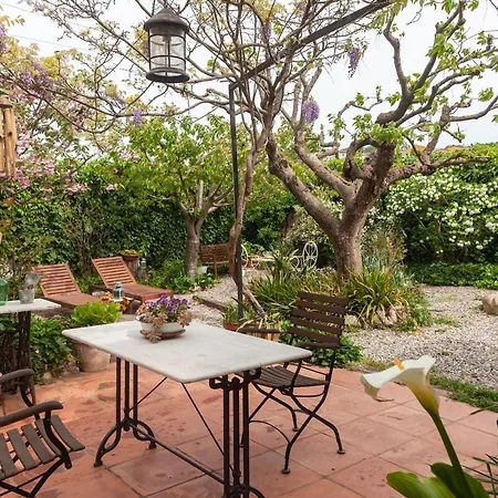 La Gatera Apartment *
