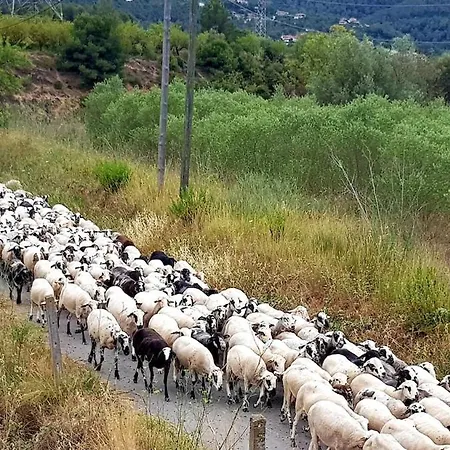 شقة La Gatera Gélida