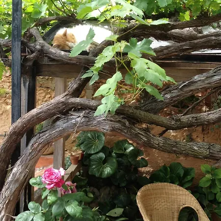 Appartement La Gatera Gélida